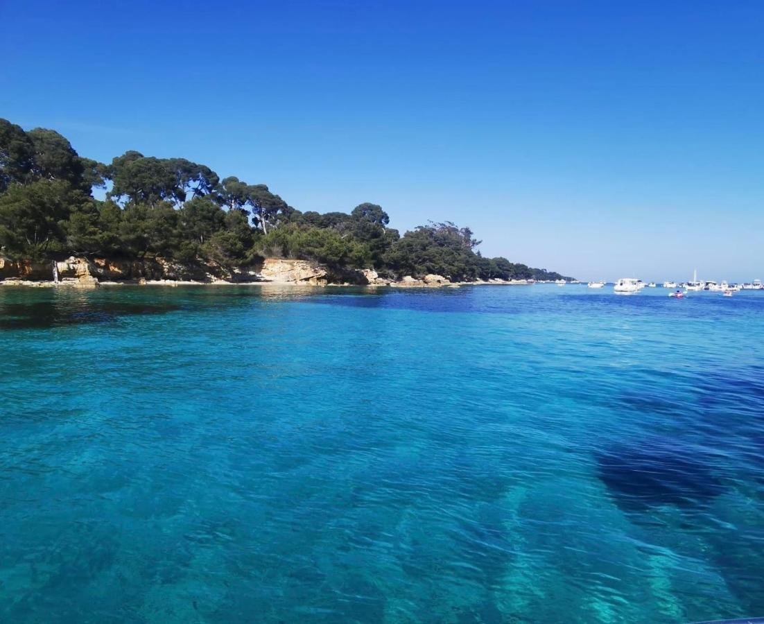Un Havre De Paix Au Coeur De Mougins Lägenhet Exteriör bild